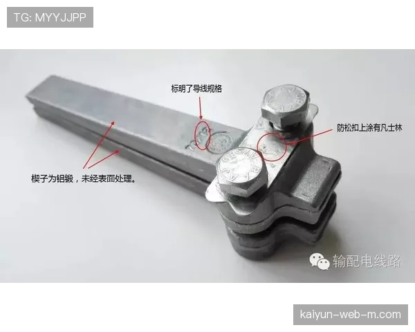 佩莱格里尼4-2-3-1控球体系 伊格莱西亚斯头球支点作用关键